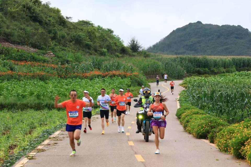 此前两季已 此前两季已