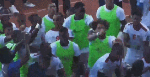 利夫拉门托, net